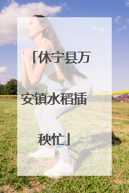 休宁县万安镇水稻插秧忙