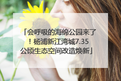 会呼吸的海绵公园来了！杨浦新江湾城7.35公顷生态空间改造焕新