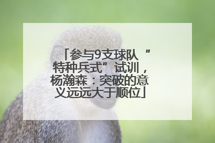 参与9支球队“特种兵式”试训，杨瀚森：突破的意义远远大于顺位