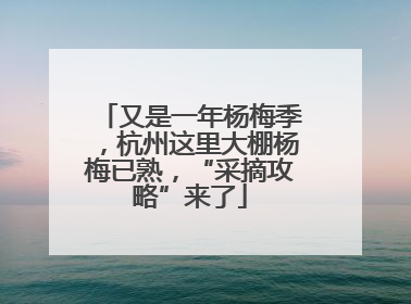又是一年杨梅季，杭州这里大棚杨梅已熟，“采摘攻略”来了
