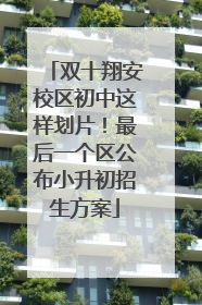 双十翔安校区初中这样划片！最后一个区公布小升初招生方案