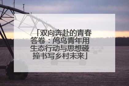 双向奔赴的青春答卷：鸬鸟青年用生态行动与思想碰撞书写乡村未来