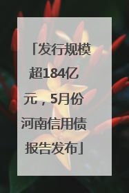 发行规模超184亿元，5月份河南信用债报告发布