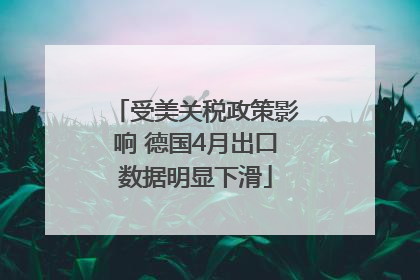 受美关税政策影响 德国4月出口数据明显下滑