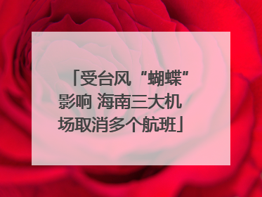 受台风“蝴蝶”影响 海南三大机场取消多个航班