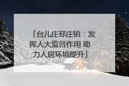 台儿庄邳庄镇：发挥人大监督作用 助力人居环境提升