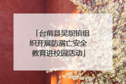 台前县吴坝镇组织开展防溺亡安全教育进校园活动