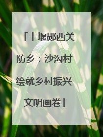 十堰郧西关防乡：沙沟村绘就乡村振兴文明画卷