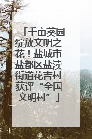 千亩葵园绽放文明之花！盐城市盐都区盐渎街道花吉村获评“全国文明村”