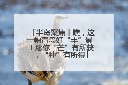 半岛聚焦丨瞧，这一幅青岛好“丰”景！愿你“芒”有所获，“种”有所得
