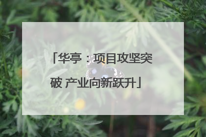 华亭：项目攻坚突破 产业向新跃升
