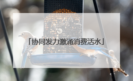 协同发力激涌消费活水