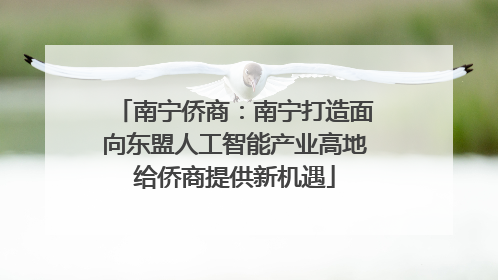 南宁侨商：南宁打造面向东盟人工智能产业高地给侨商提供新机遇