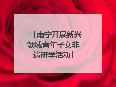 南宁开展新兴领域青年子女非遗研学活动