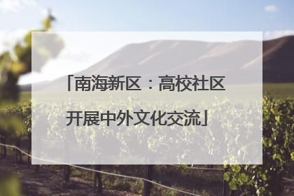 南海新区：高校社区开展中外文化交流
