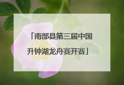 南部县第三届中国升钟湖龙舟赛开赛