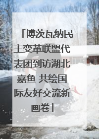 博茨瓦纳民主变革联盟代表团到访湖北嘉鱼 共绘国际友好交流新画卷