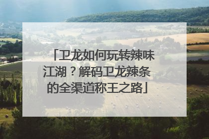 卫龙如何玩转辣味江湖？解码卫龙辣条的全渠道称王之路