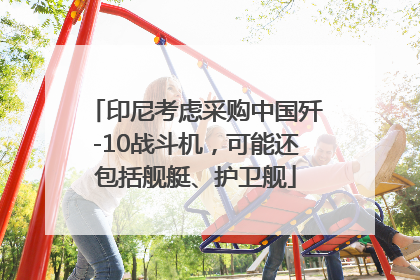 印尼考虑采购中国歼-10战斗机，可能还包括舰艇、护卫舰
