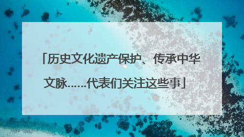历史文化遗产保护、传承中华文脉……代表们关注这些事