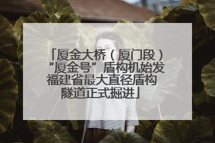 厦金大桥（厦门段）“厦金号”盾构机始发 福建省最大直径盾构隧道正式掘进