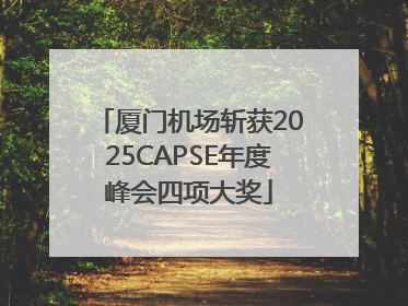 厦门机场斩获2025CAPSE年度峰会四项大奖