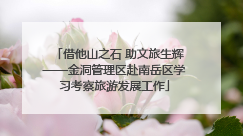 借他山之石 助文旅生辉——金洞管理区赴南岳区学习考察旅游发展工作