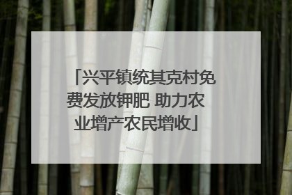 兴平镇统其克村免费发放钾肥 助力农业增产农民增收