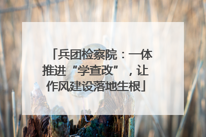 兵团检察院：一体推进“学查改”，让作风建设落地生根