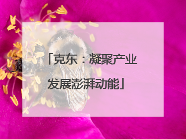 克东：凝聚产业发展澎湃动能