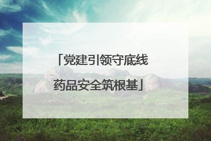 党建引领守底线 药品安全筑根基