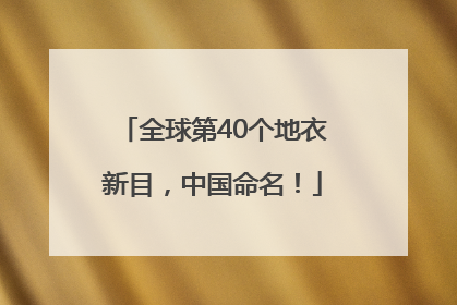 全球第40个地衣新目，中国命名！