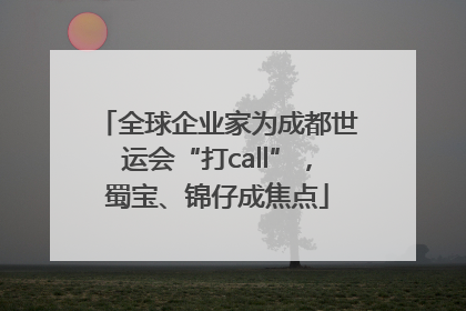 全球企业家为成都世运会“打call”，蜀宝、锦仔成焦点