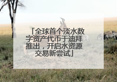 全球首个淡水数字资产代币于迪拜推出，开启水资源交易新尝试
