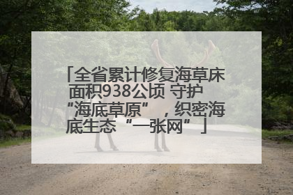 全省累计修复海草床面积938公顷 守护“海底草原”，织密海底生态“一张网”