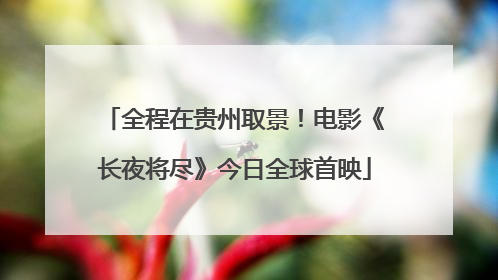 全程在贵州取景！电影《长夜将尽》今日全球首映