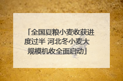 全国夏粮小麦收获进度过半 河北冬小麦大规模机收全面启动