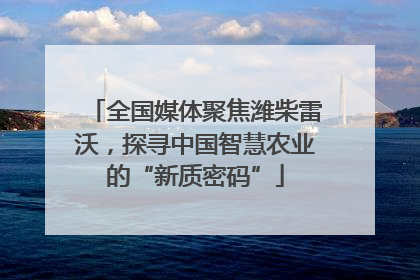 全国媒体聚焦潍柴雷沃，探寻中国智慧农业的“新质密码”