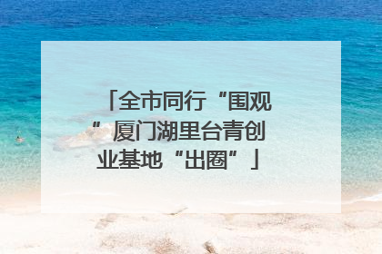 全市同行“围观”厦门湖里台青创业基地“出圈”