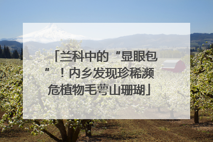 兰科中的“显眼包”！内乡发现珍稀濒危植物毛萼山珊瑚