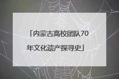 内蒙古高校团队70年文化遗产探寻史