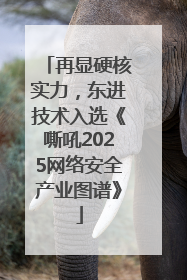 再显硬核实力，东进技术入选《嘶吼2025网络安全产业图谱》