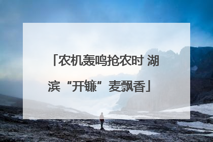 农机轰鸣抢农时 湖滨“开镰”麦飘香