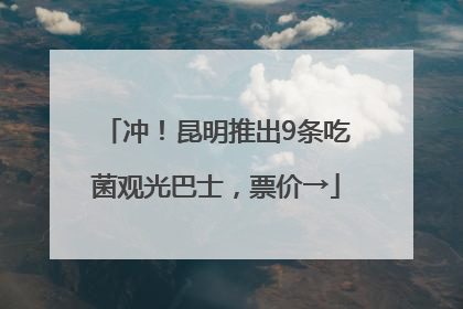 冲！昆明推出9条吃菌观光巴士，票价→