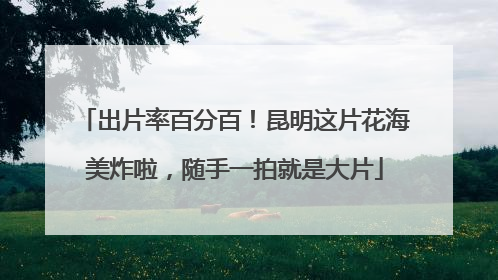 出片率百分百！昆明这片花海美炸啦，随手一拍就是大片