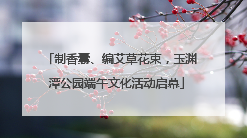 制香囊、编艾草花束，玉渊潭公园端午文化活动启幕
