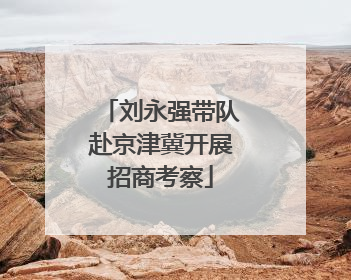 刘永强带队赴京津冀开展招商考察