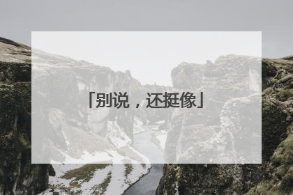 别说，还挺像