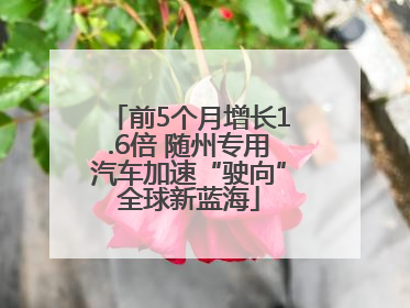 前5个月增长1.6倍 随州专用汽车加速“驶向”全球新蓝海