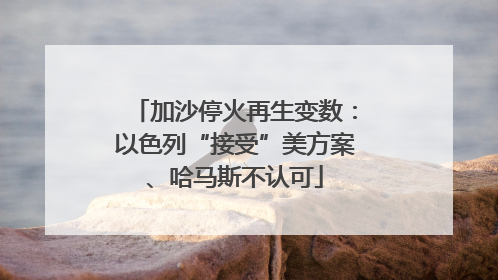 加沙停火再生变数：以色列“接受”美方案、哈马斯不认可